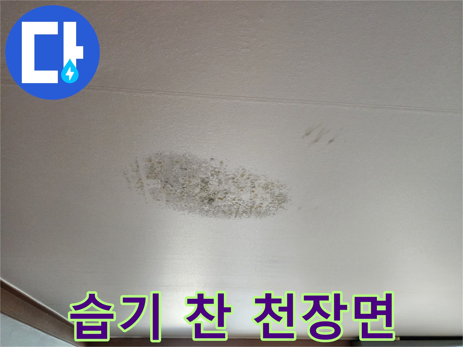 천장 마감재 부위의 습윤한 얼룩과 오염 상태