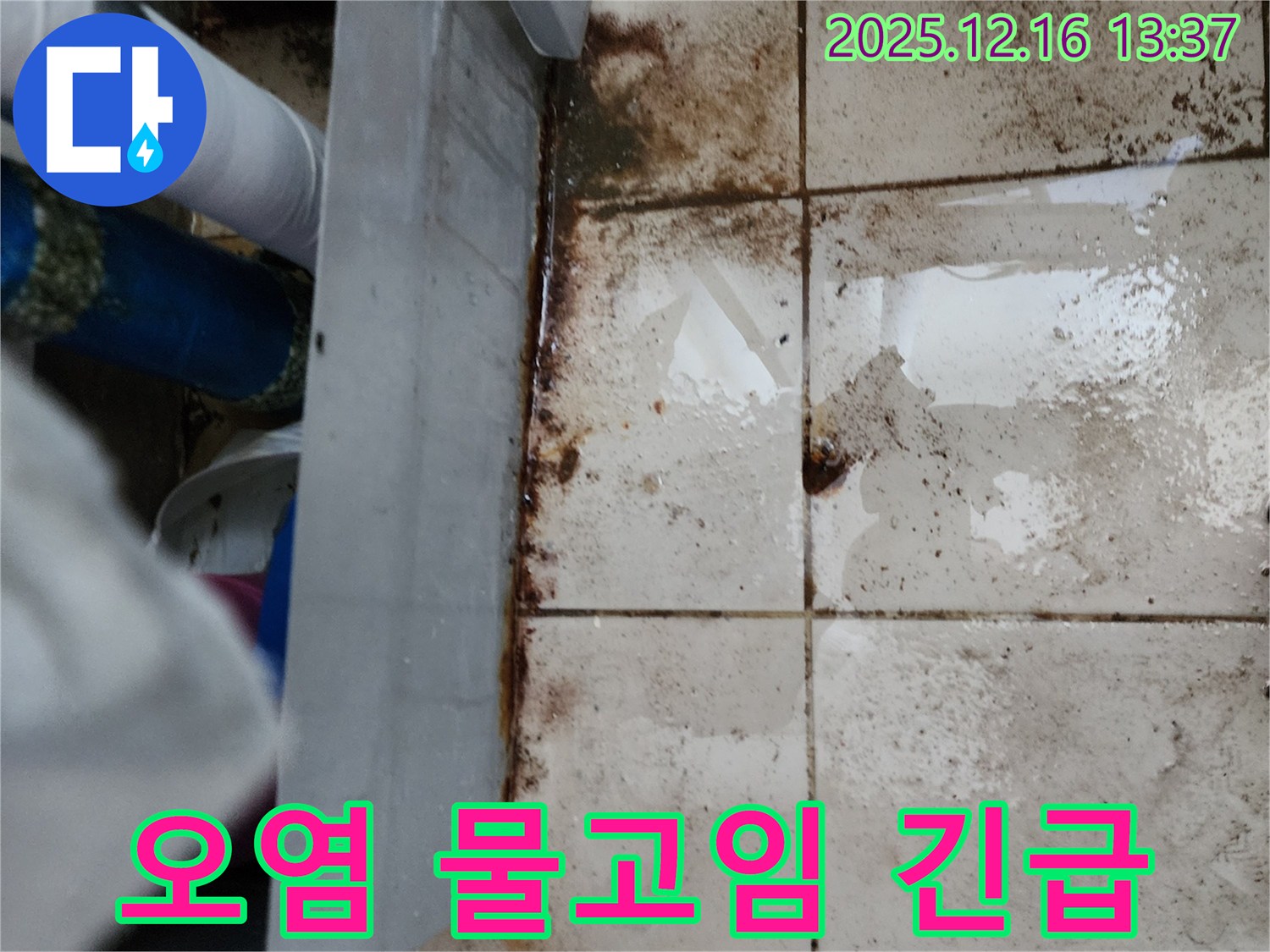 포천시 영북면 소홀리 누수 현장 - 심각한 오염과 물고임은 긴급한 누수 해결이 필요함을 나타냅니다 - 빠른 조치가 필요합니다.