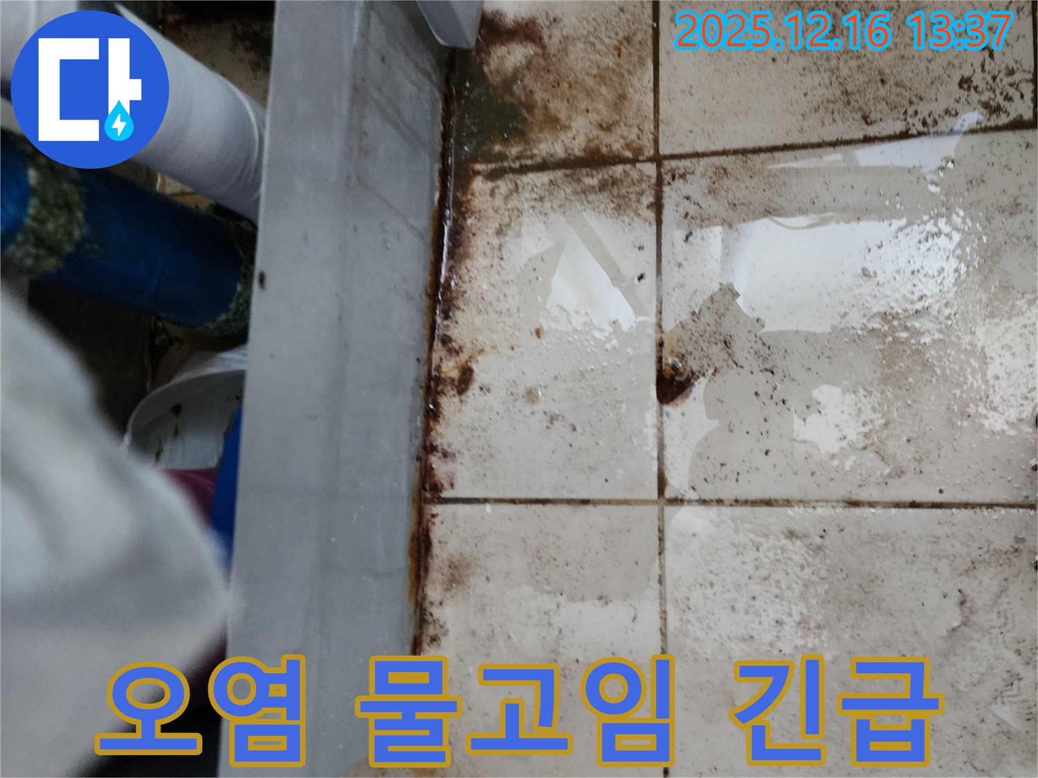 포천시 영북면 소홀리 누수 현장 - 심각한 오염과 물고임은 긴급한 누수 해결이 필요함을 나타냅니다 - 빠른 조치가 필요합니다.