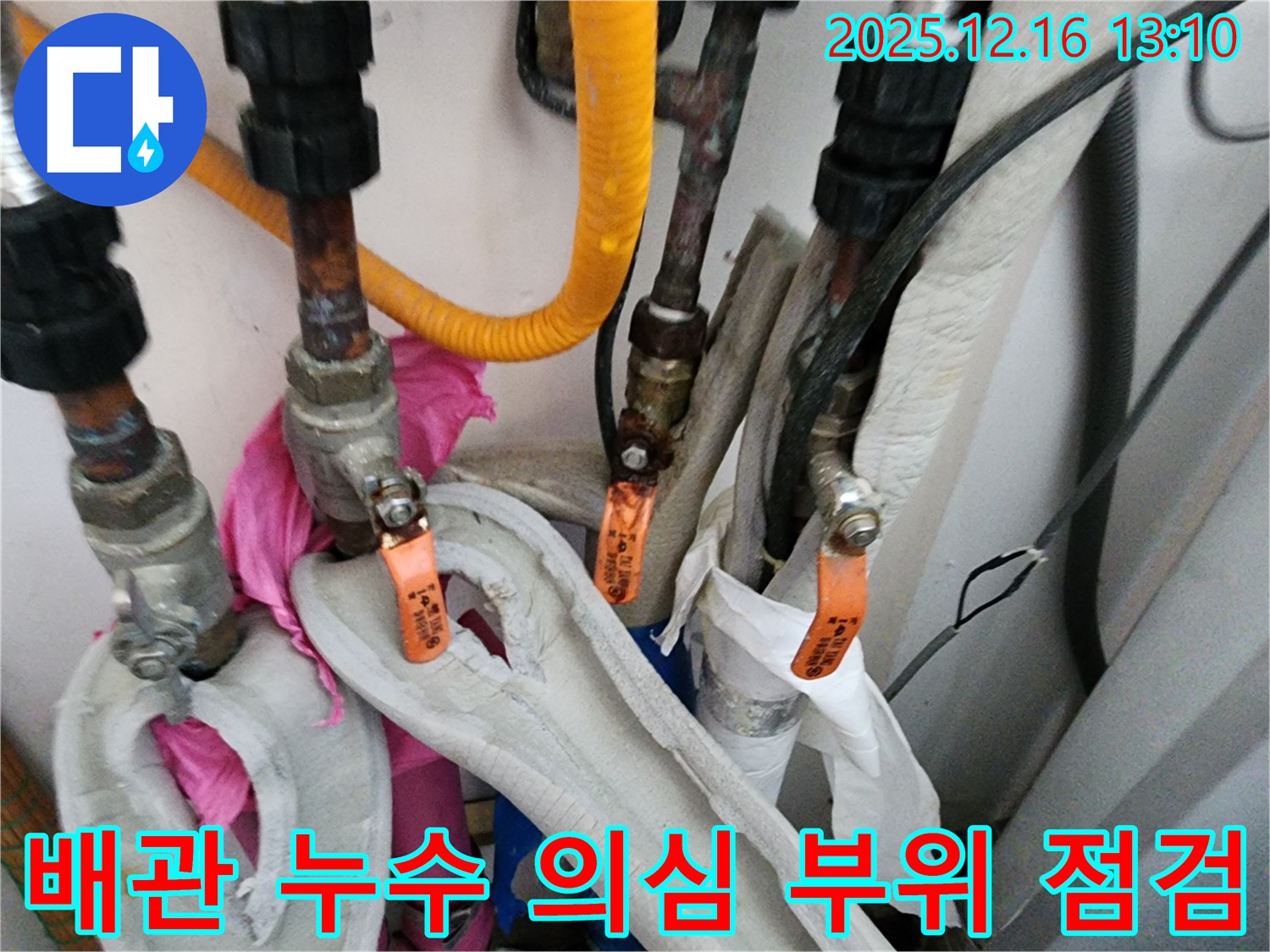 포천시 영북면 소홀리에서 누수탐지 전문가가 배관 누수 의심 부위를 꼼꼼하게 점검하고 있습니다 - 누수 원인을 정확히 파악하기 위한 중요한 과정입니다.
