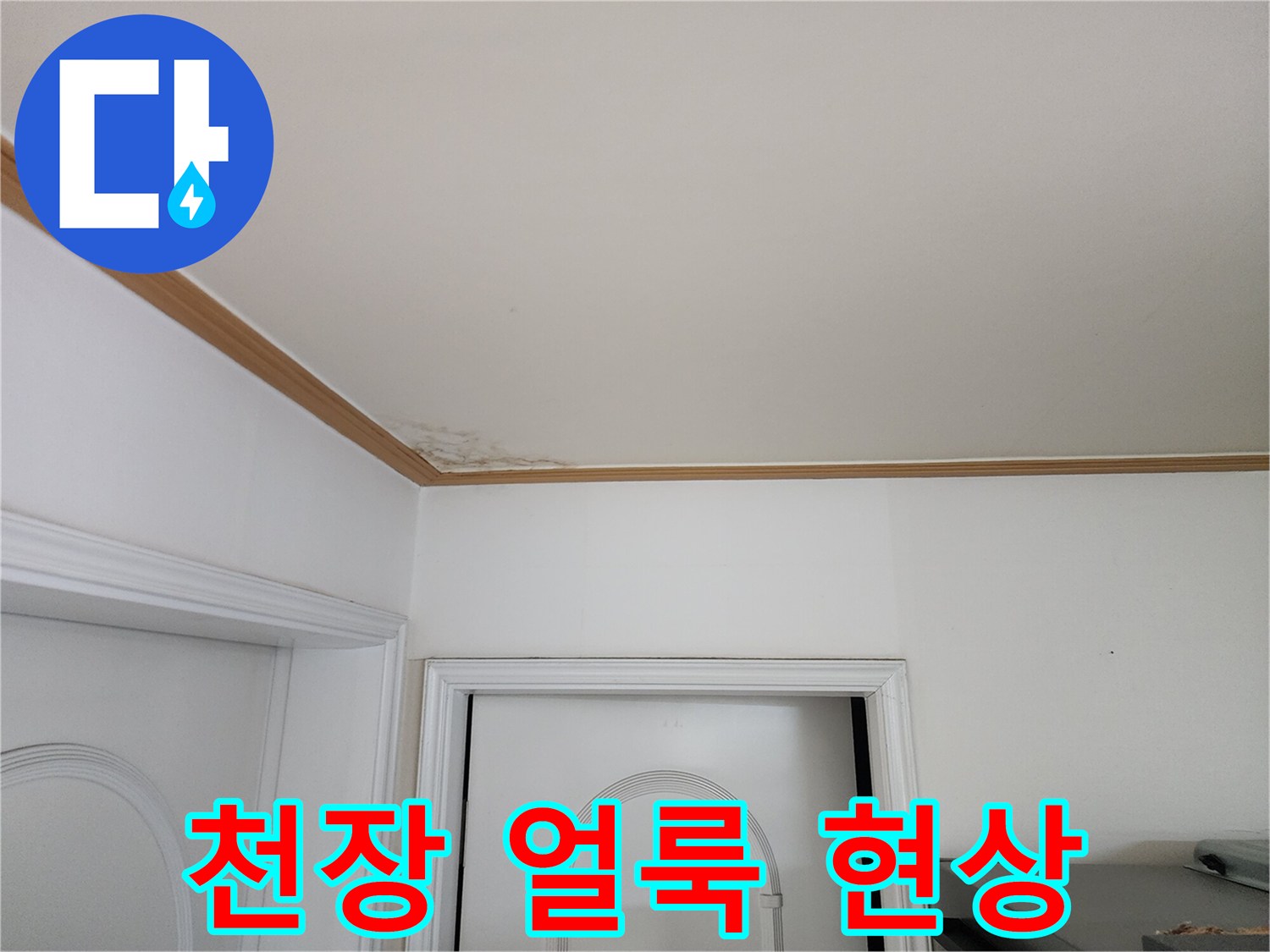양주 고암동 거실 천장의 누수 변색 부위 상세 촬영