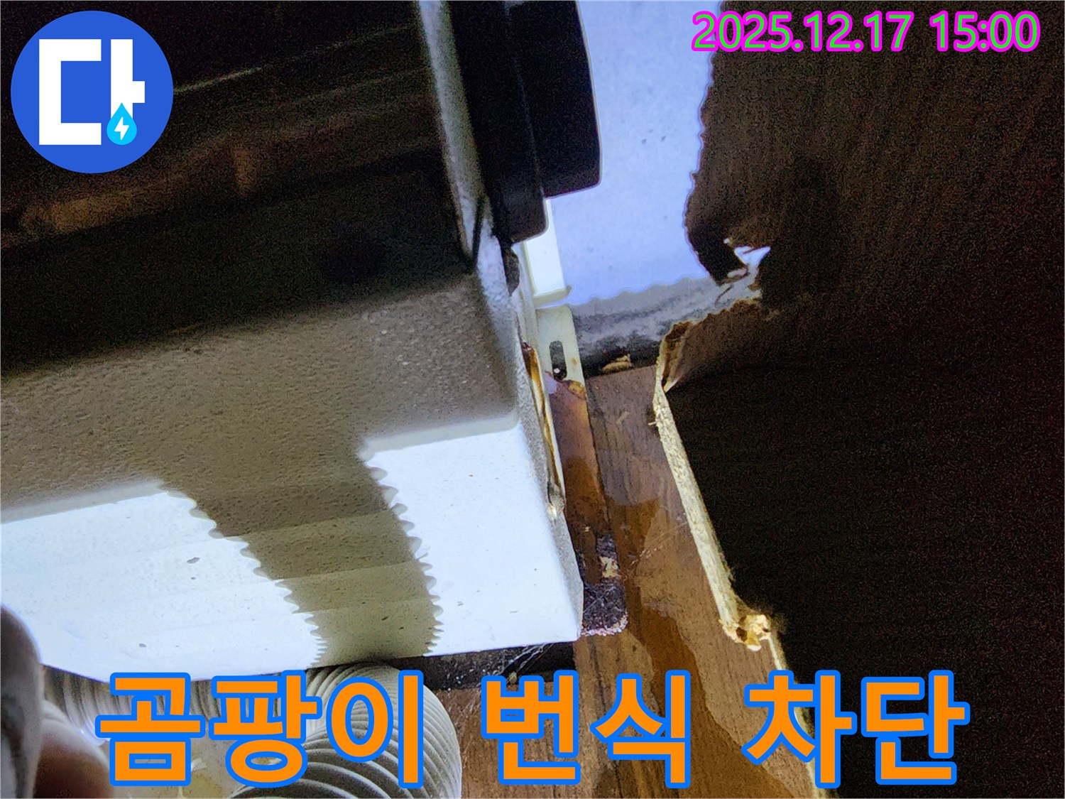 싱크대 연결 부위 누수 문제 해결 - 포천 영북면 대회리 누수 전문 업체에서 합판 곰팡이 번식 차단 시공