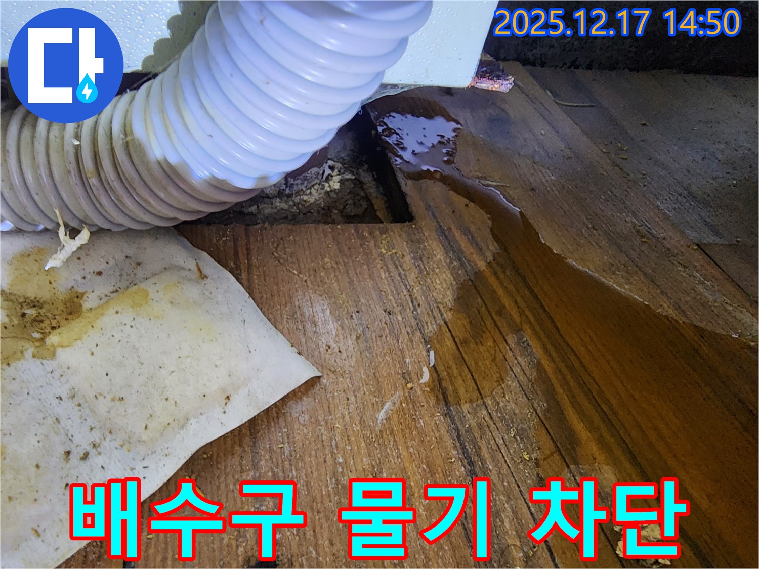포천 영북면 대회리 누수 - 싱크대 배수구 주변에 물기가 있는 것을 확인하고 누수를 완벽하게 차단하는 시공 모습입니다.