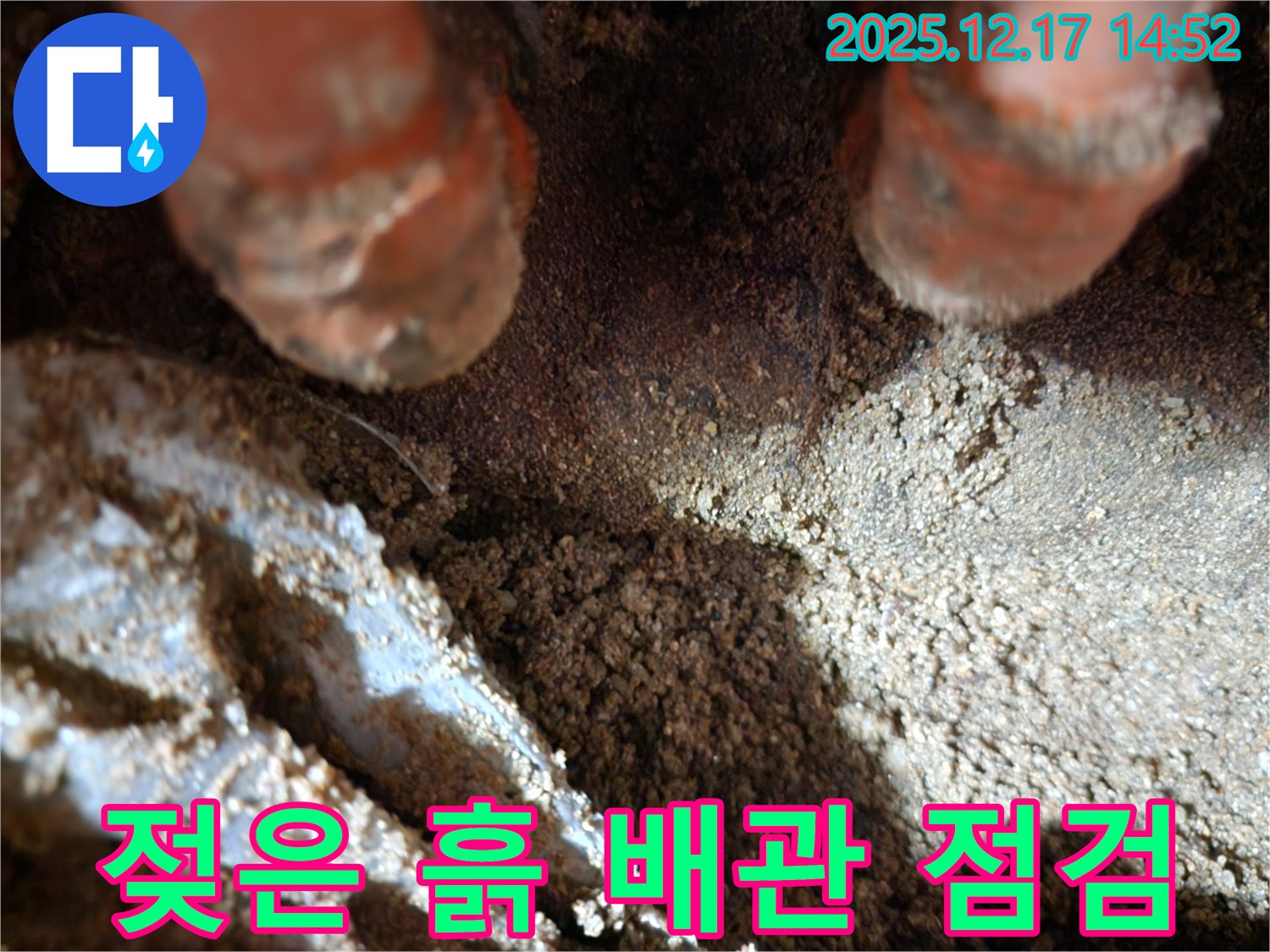 포천 영북면 대회리 누수 현장 - 젖은 흙 주변 배관을 긴급 점검하고 있습니다.