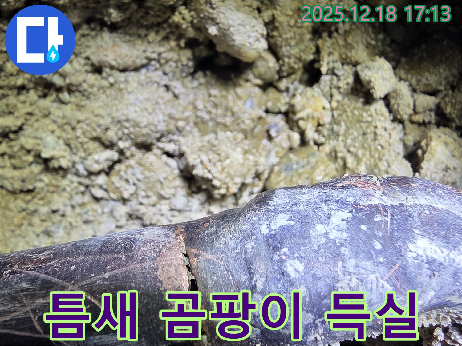 갈라진 틈새로 곰팡이 득실 - 시흥 신천동 누수탐지 전문