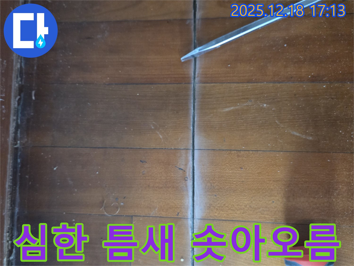 마루 틈새 심한 솟아오름 - 틈새 주변 마루가 매우 심하게 솟아올라 울퉁불퉁한 상태