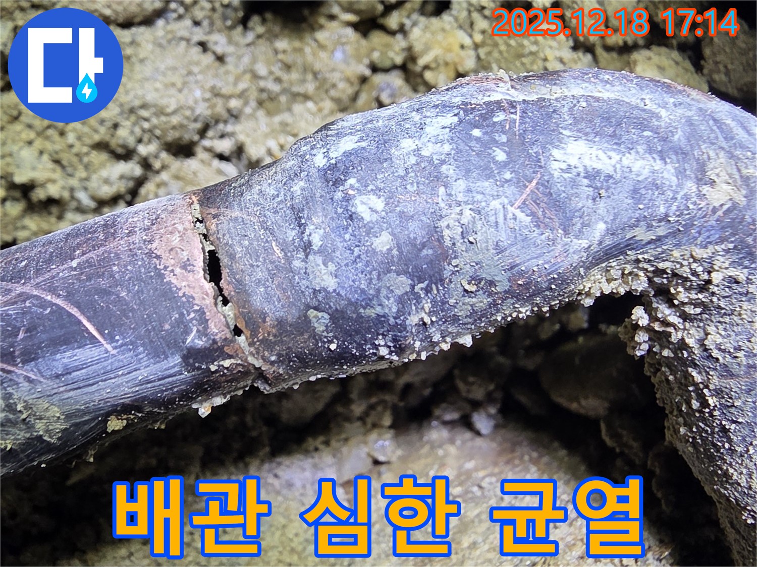 시흥시 신천동 호현로 누수 현장 - 심각한 배관 균열을 보여주는 사진 - 즉각적인 조치가 필요합니다.