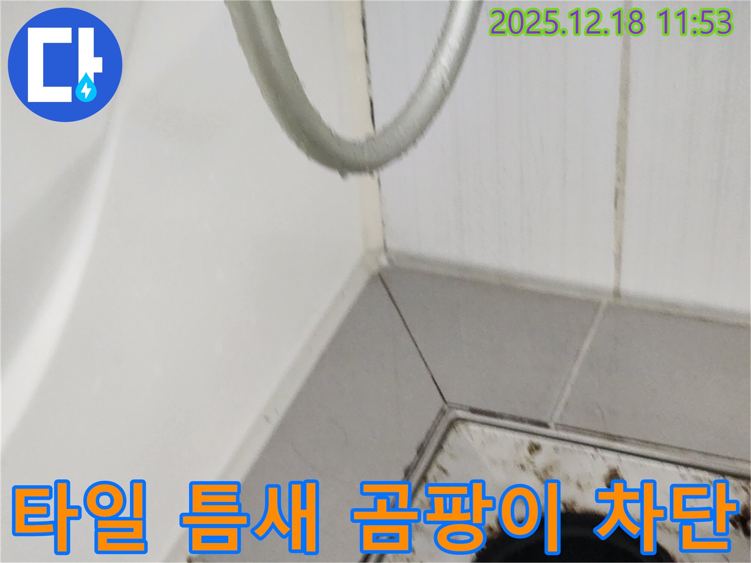 가채리 욕실 벽 타일 틈새 곰팡이 - 꼼꼼한 보수 작업을 통해 누수를 완벽하게 차단하는 과정을 보여줍니다.