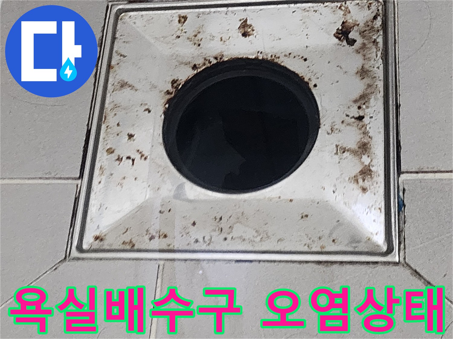 포천 영북면 화장실 배수구 주변의 찌꺼기와 오염된 상태
