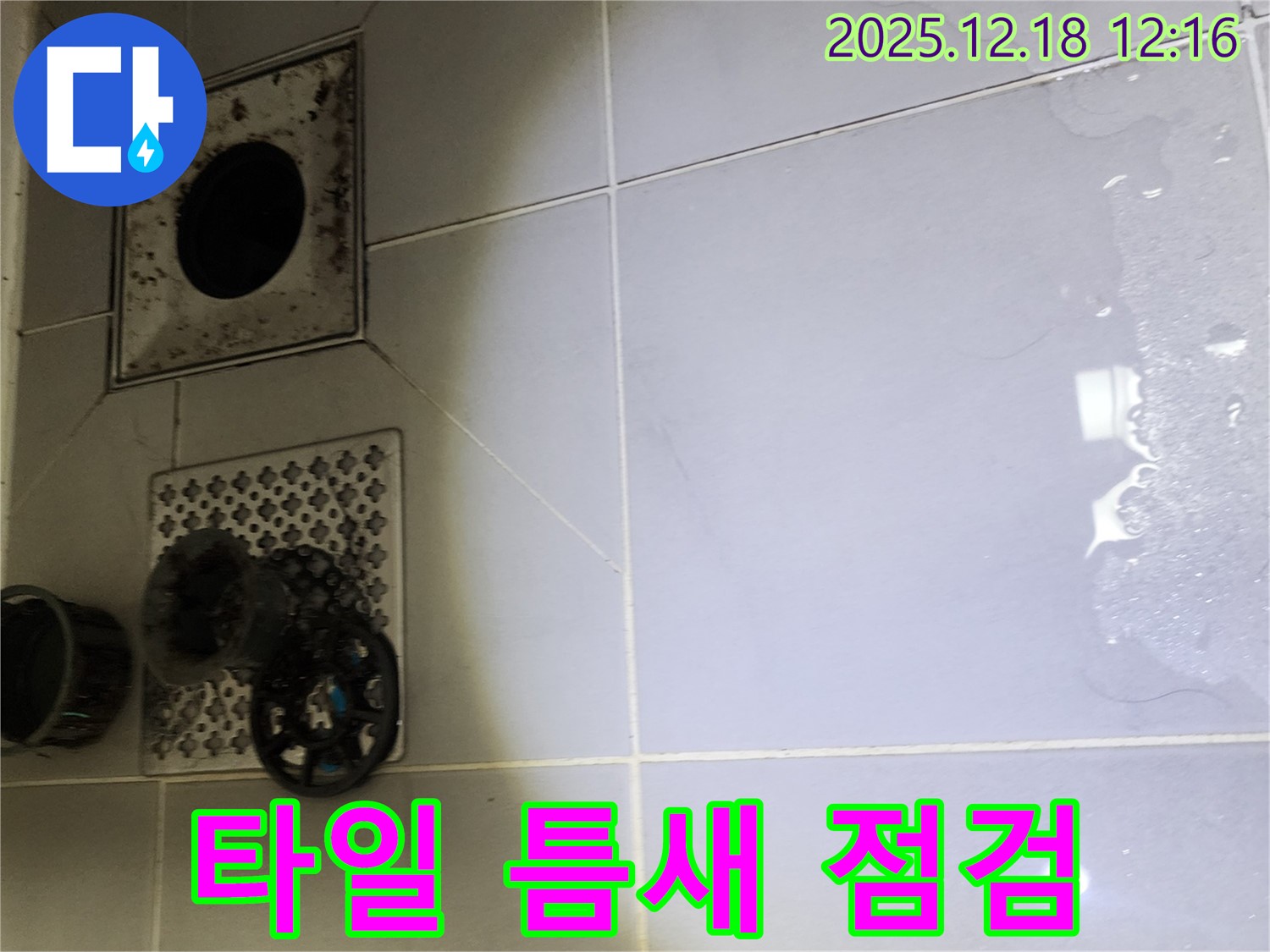 포천시 영북면 가채리 욕실 바닥 타일 틈새 누수 가능성 집중 점검 - 누수 전문가가 타일 틈새를 집중적으로 점검하여 누수 원인을 찾습니다.