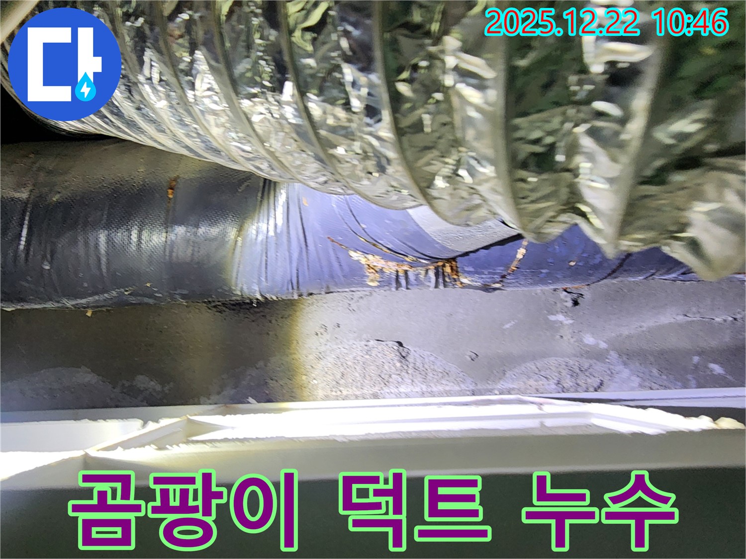 월계2동 곰팡이 핀 환기 덕트 누수 - 곰팡이 제거와 누수 해결을 동시에!