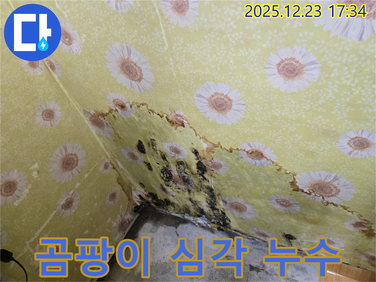 동두천 생연동 주택 누수 - 곰팡이 심각, 누수탐지 및 해결 시공