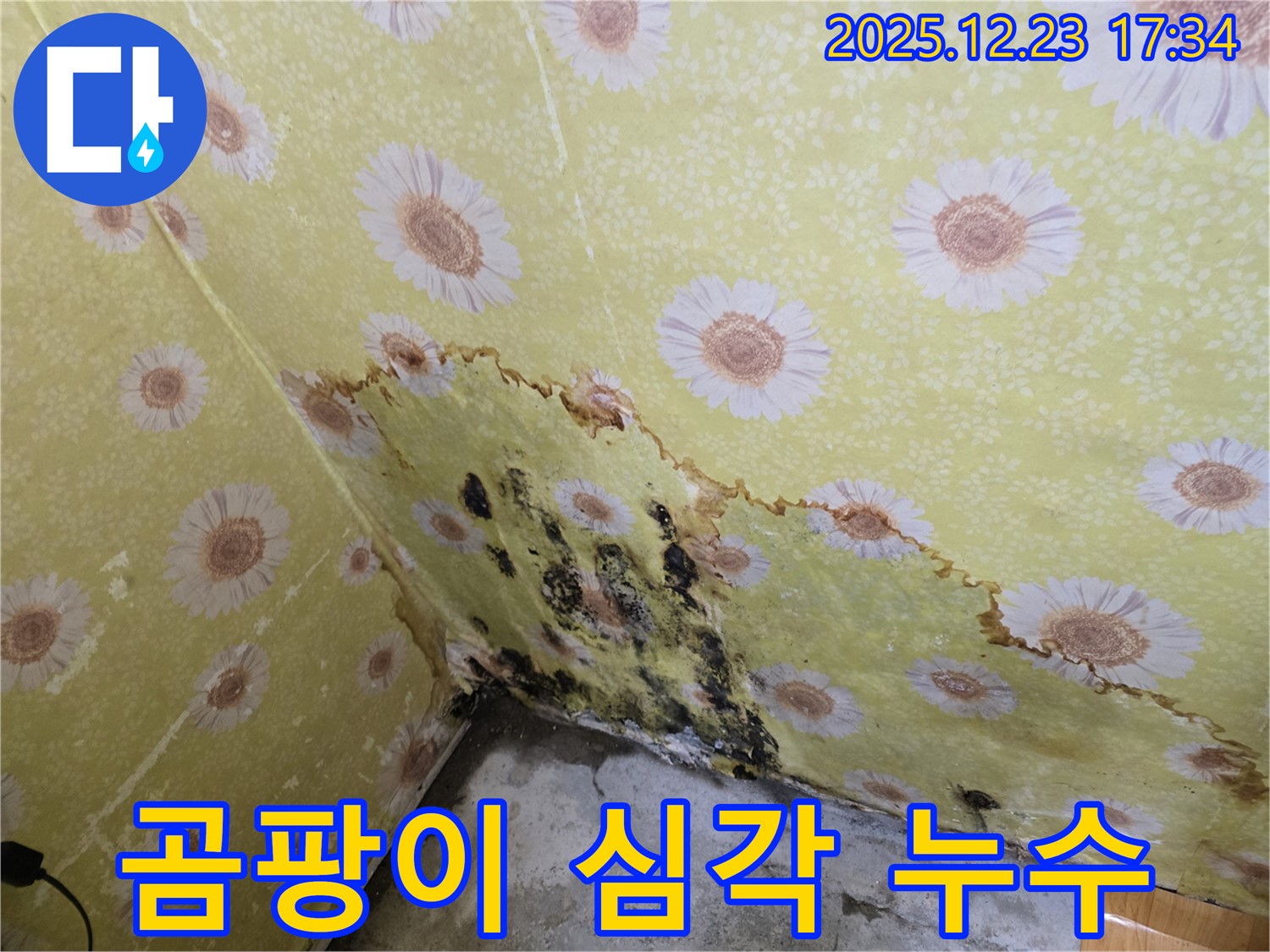동두천 생연동 주택 누수 - 곰팡이 심각, 누수탐지 및 해결 시공