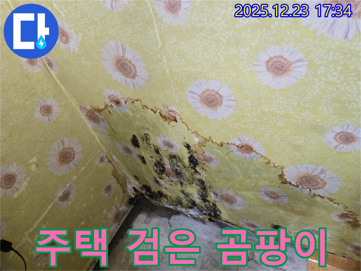 동두천 생연동 주택 누수 - 벽 모서리 검은 곰팡이 발생, 누수탐지 및 해결