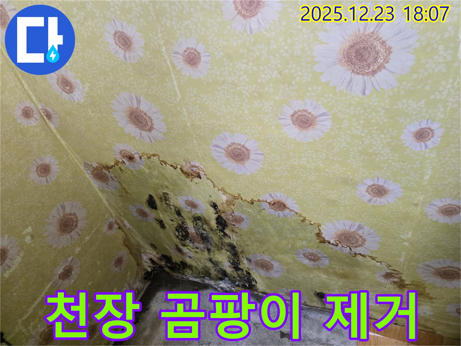 동두천 생연동 천장 곰팡이 제거 - 누수 문제 해결 후 깨끗하게 복원된 천장.
