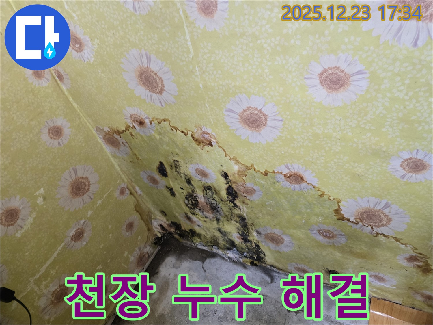 동두천 생연동 천장 누수 해결 - 곰팡이 문제까지 확실하게 해결