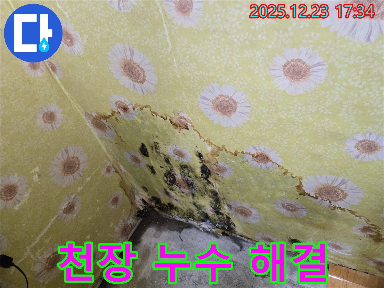 동두천 생연동 천장 누수 해결 - 곰팡이 문제까지 확실하게 해결