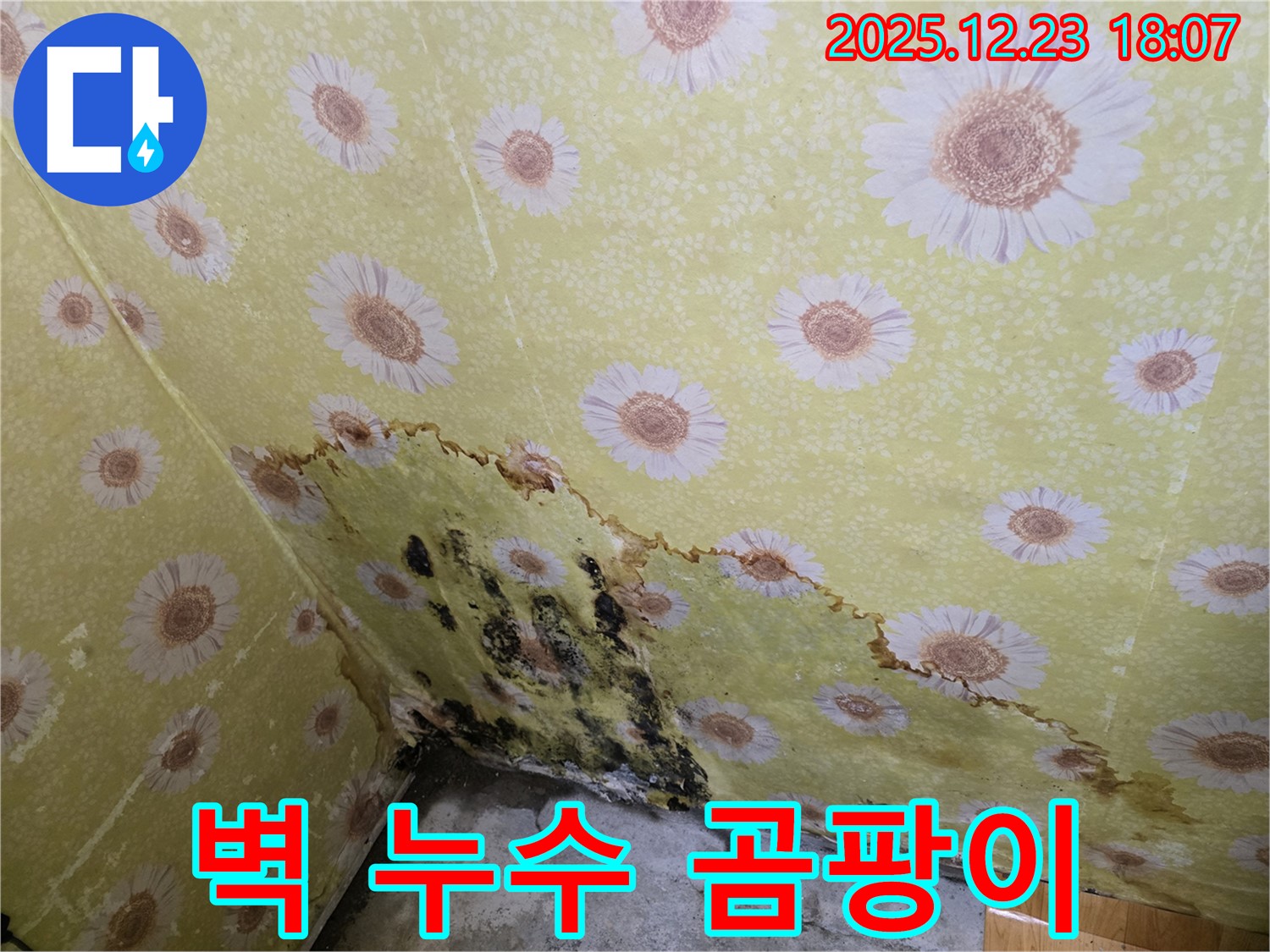 벽 누수와 곰팡이 문제를 보여주는 이미지 - 동두천 생연동 누수 해결 과정.