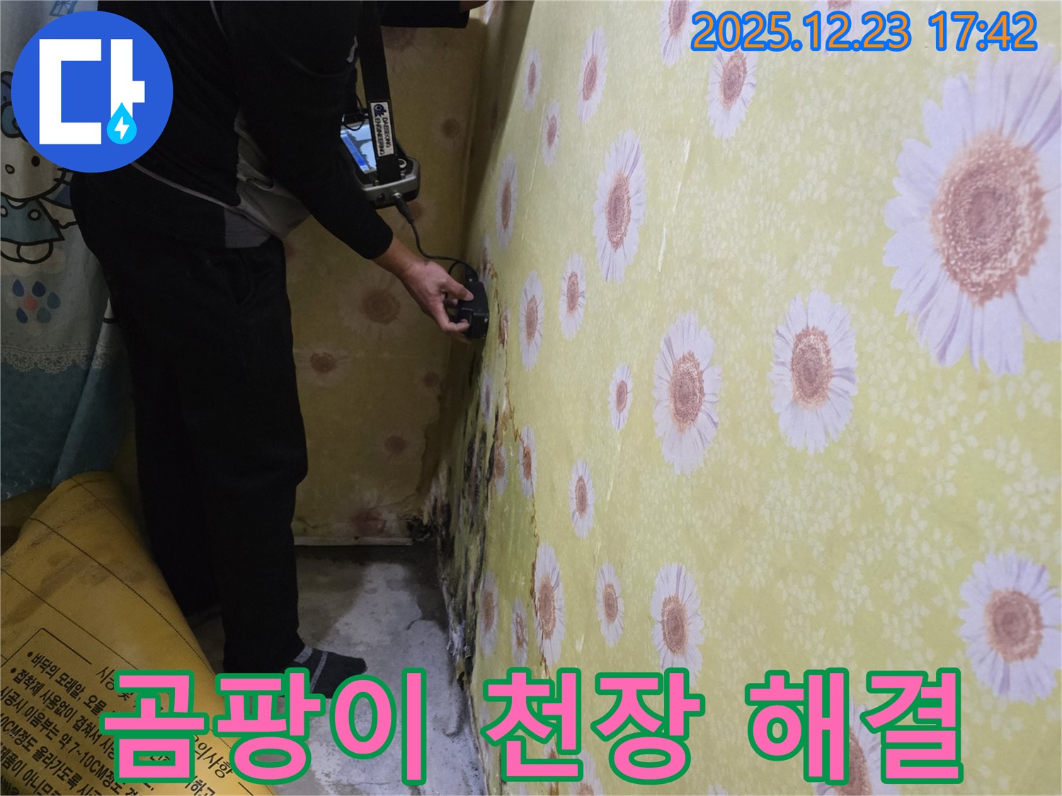 생연동 곰팡이 핀 천장 - 누수 원인부터 곰팡이 제거까지 한 번에 해결합니다.