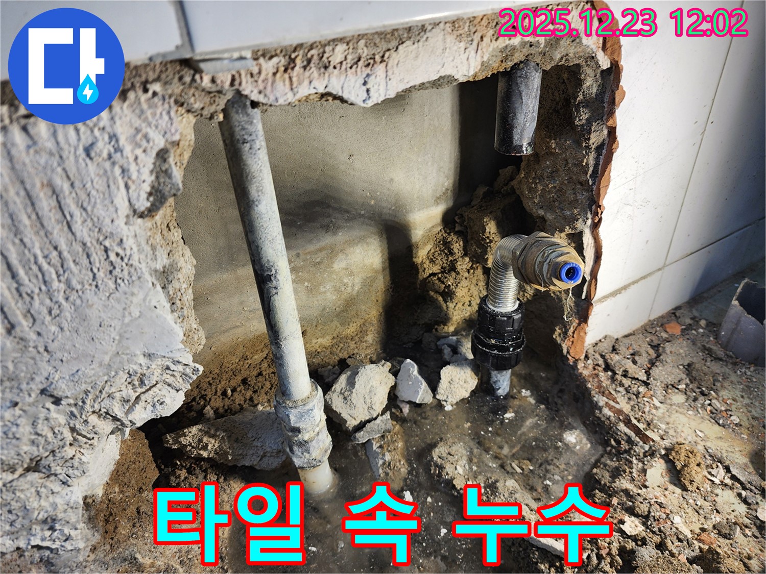 동두천 보산동 - 깨진 타일 속 숨은 누수 탐지 성공!