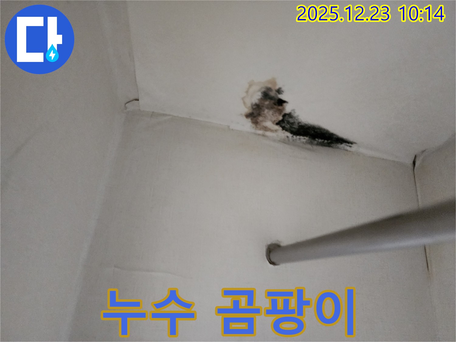 양주시 옷장 천장 누수 - 심각한 곰팡이와 누수 흔적