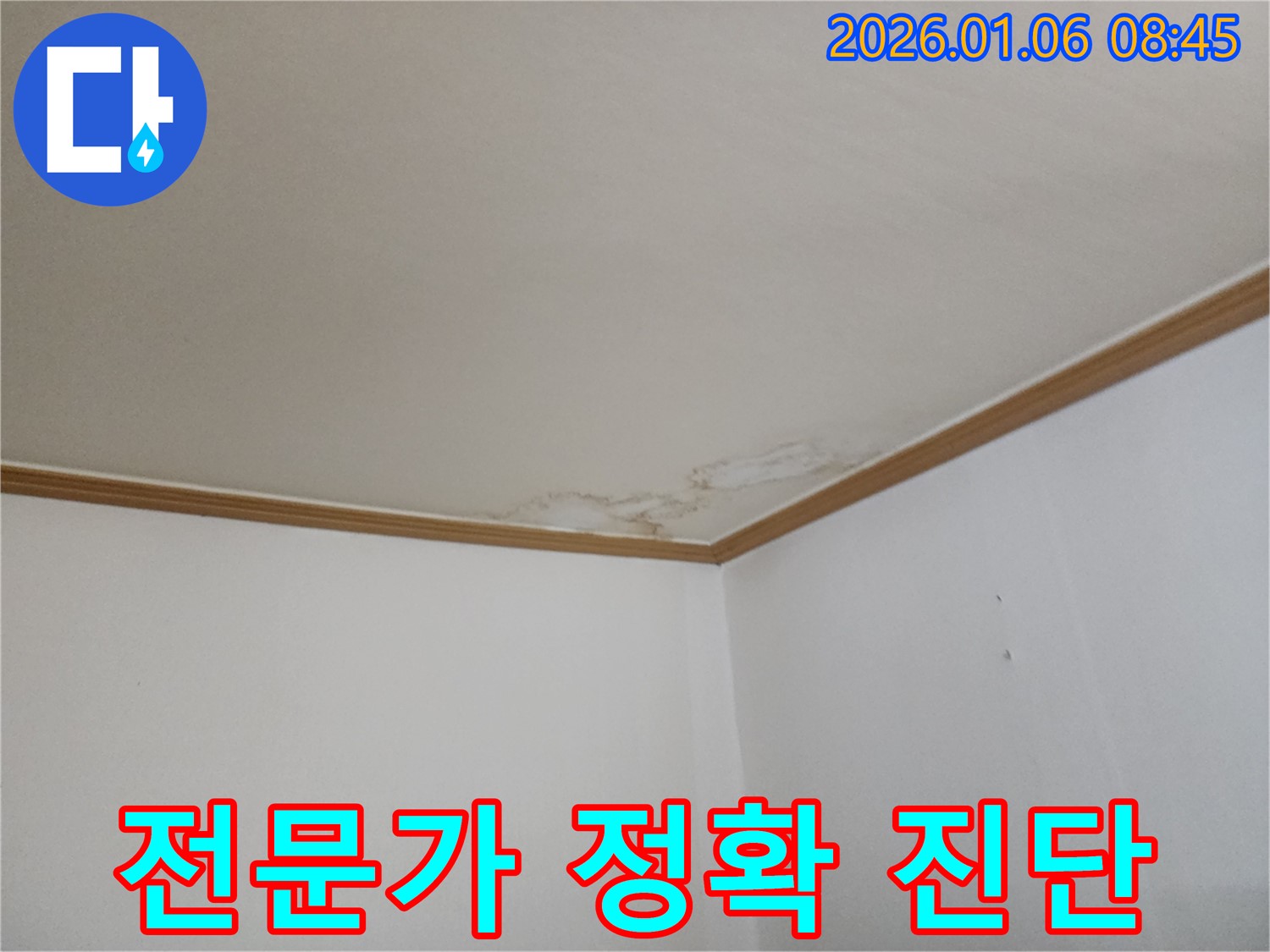 양주시 천장 누수 - 누수 전문가의 정확한 진단, 문제 해결의 시작