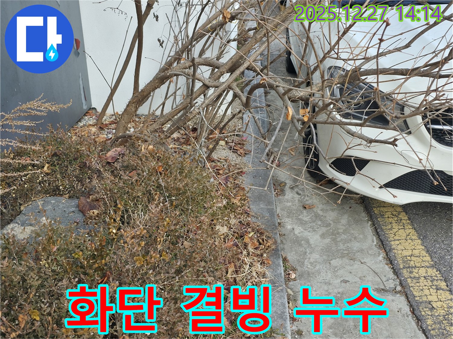겨울철 아파트 단지 화단 결빙으로 인한 누수 - 신속한 누수 탐지와 꼼꼼한 보수 작업으로 안전을 확보했습니다.