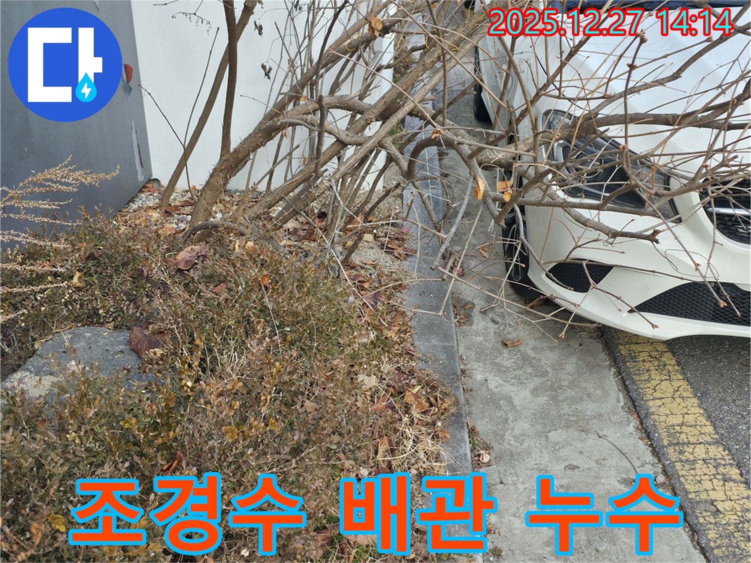 상가 조경수 관리용 배관 누수 - 정확한 누수 지점 파악으로 불필요한 공사를 줄이고 비용을 절감합니다.