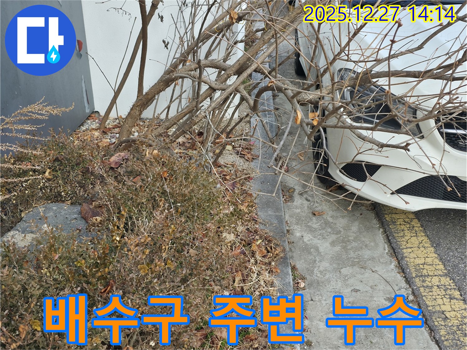 상가 주차장 옆 화단 배수구 주변 누수 - 신속한 탐지와 꼼꼼한 보수로 누수 문제를 해결하고 안전까지 확보!