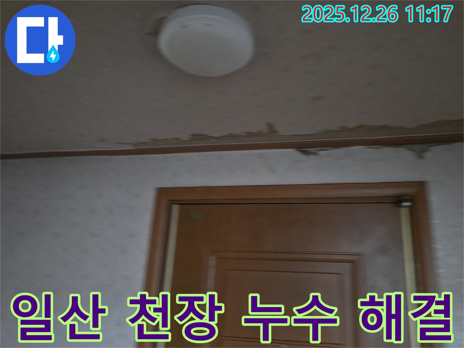 고양시 일산 천장 누수 - 누수탐지 전문가가 확실하게 해결하는 과정