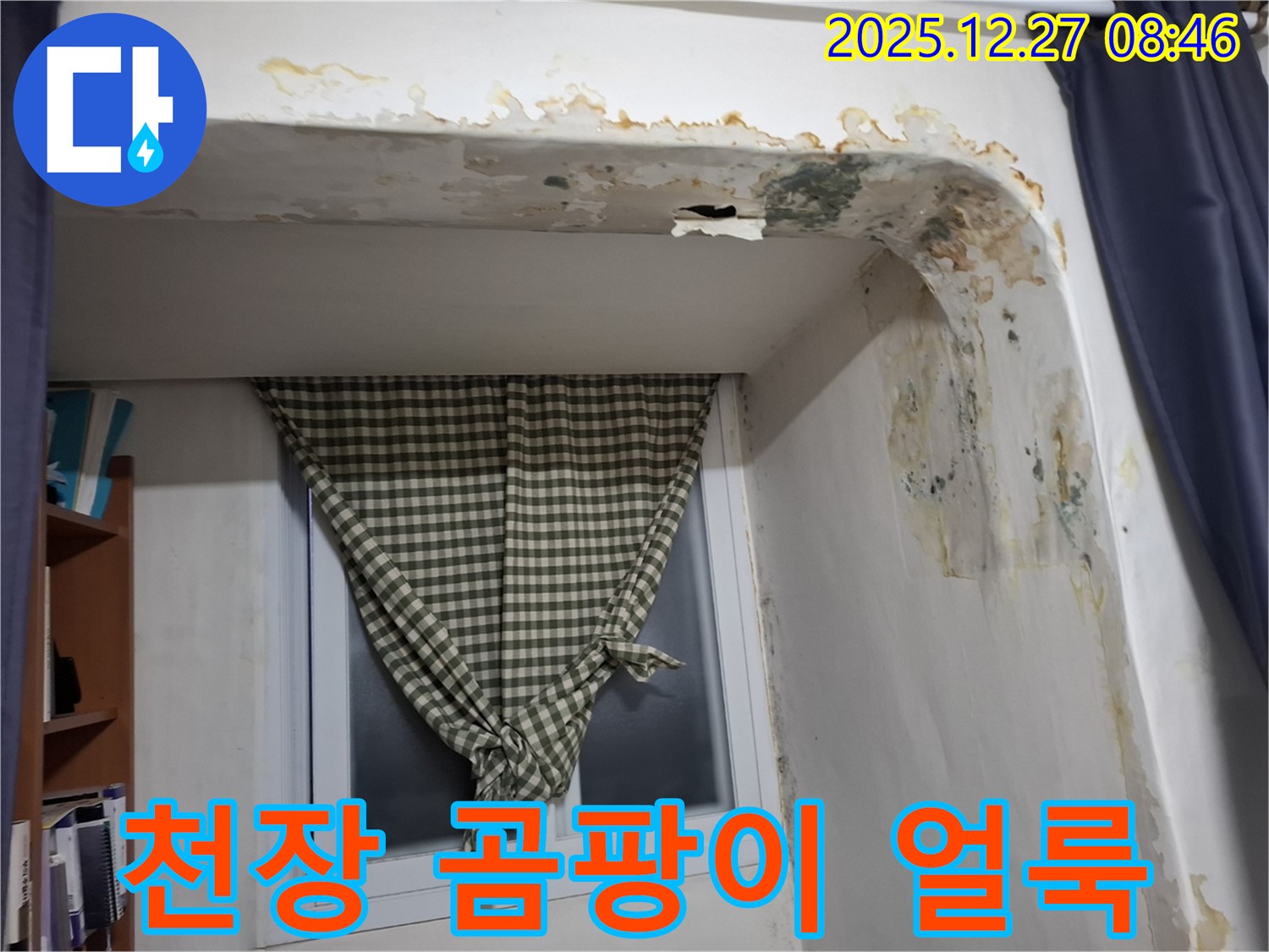 석촌동 천장 곰팡이 얼룩 - 누수로 인한 천장 손상
