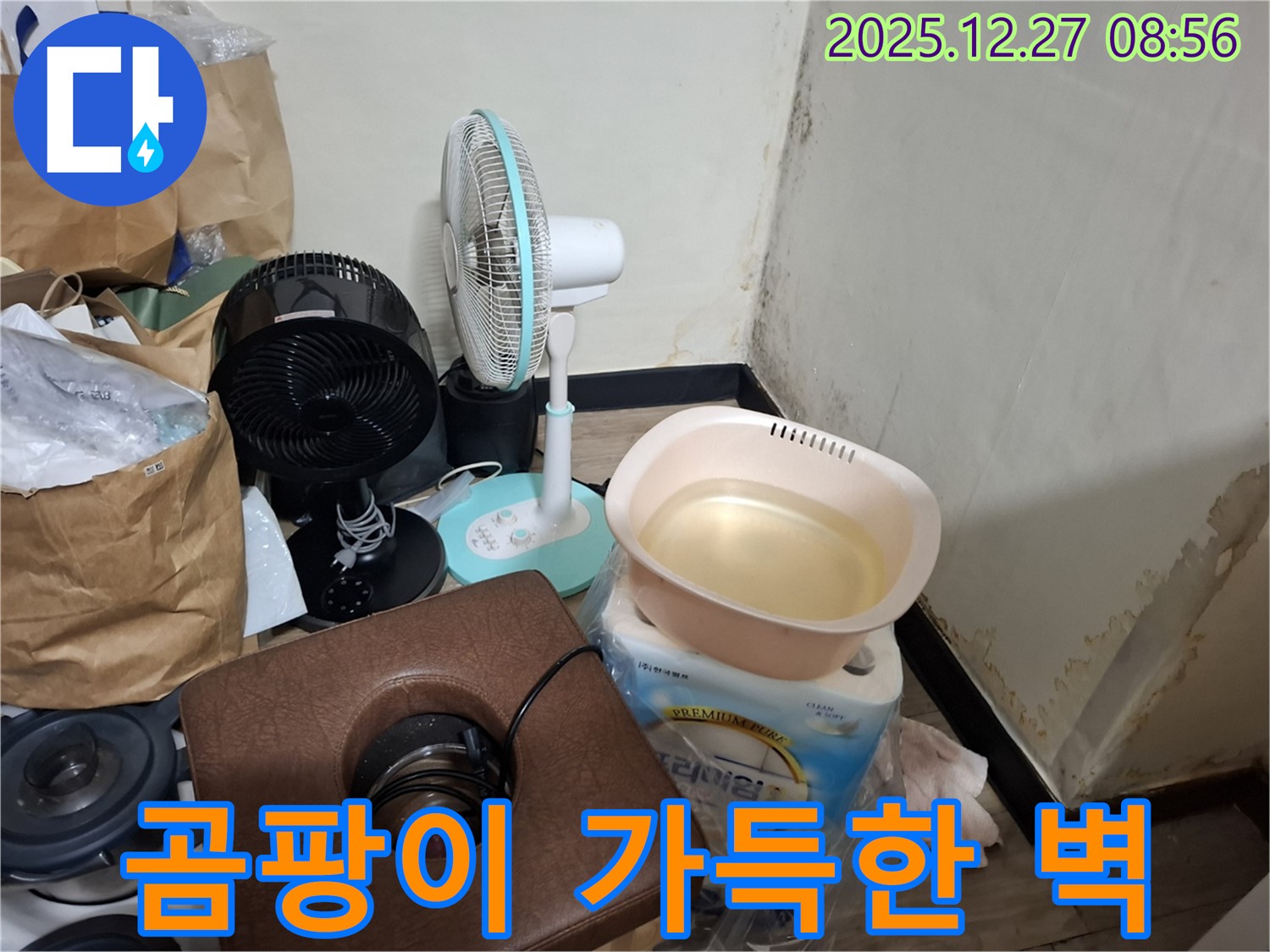 송파구 삼전동 누수 현장 - 곰팡이가 벽 전체를 뒤덮은 모습입니다. 누수 문제의 심각성을 보여줍니다.