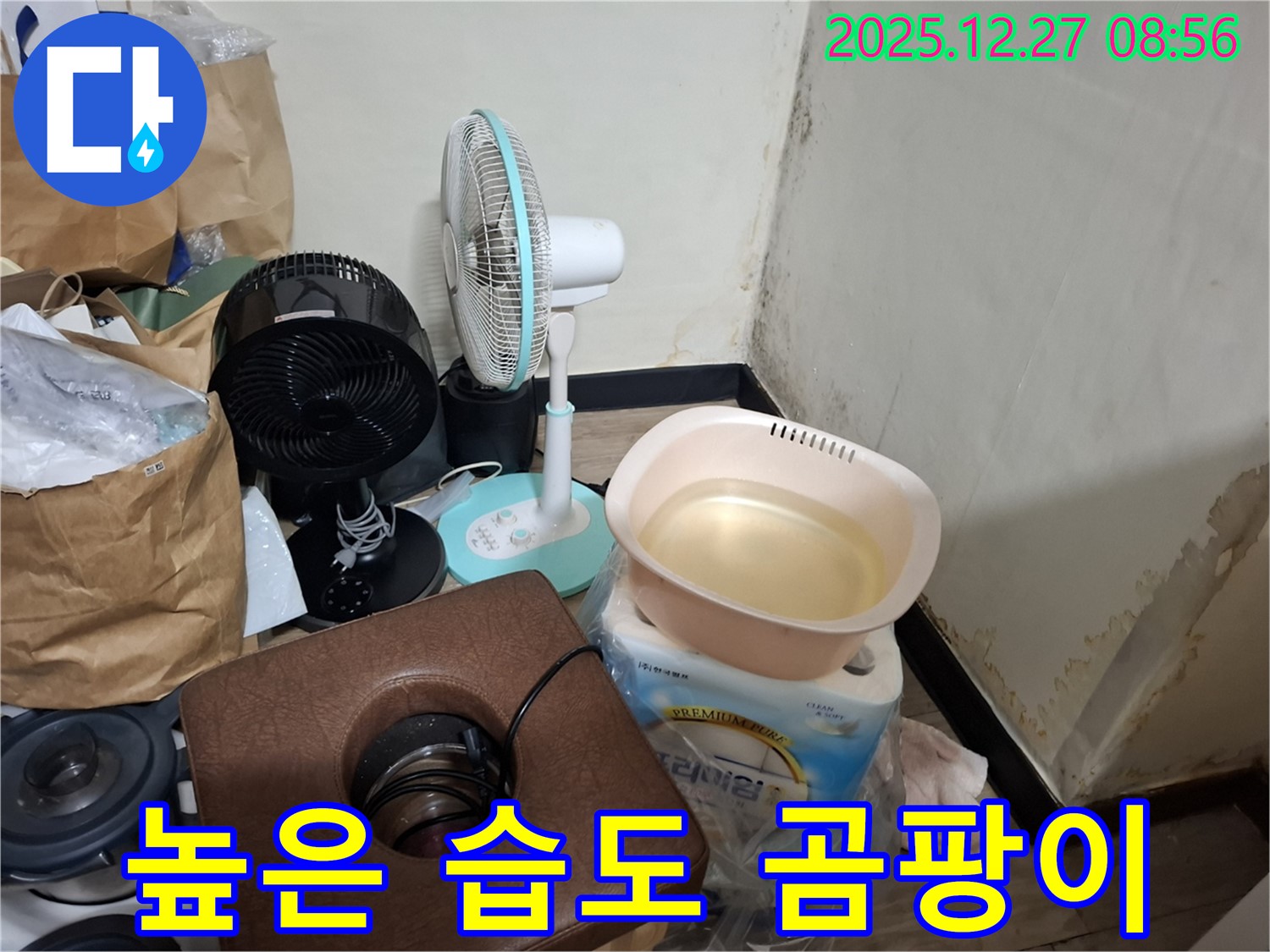 송파구 삼전동 누수 현장 - 우리 집 습도가 높아서 곰팡이가 생겼을까요? - 습도 관리 중요.