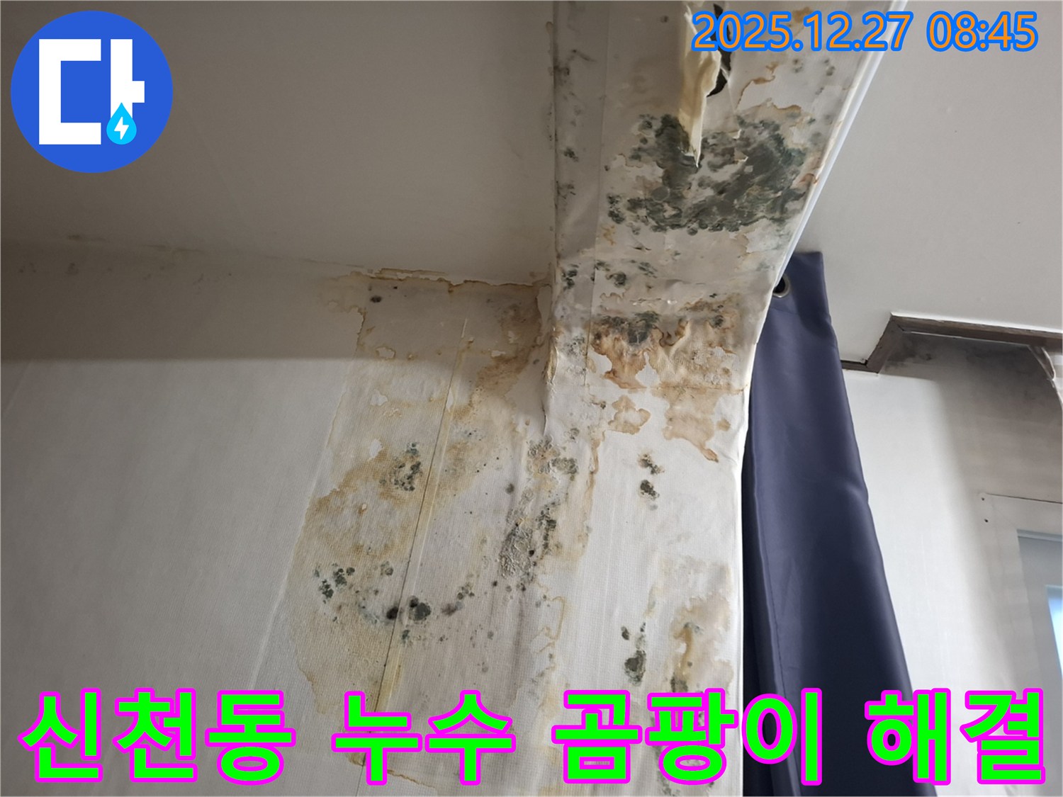 신천동 누수 현장 - 곰팡이 문제 해결 과정, 누수탐지 전문가의 꼼꼼한 작업