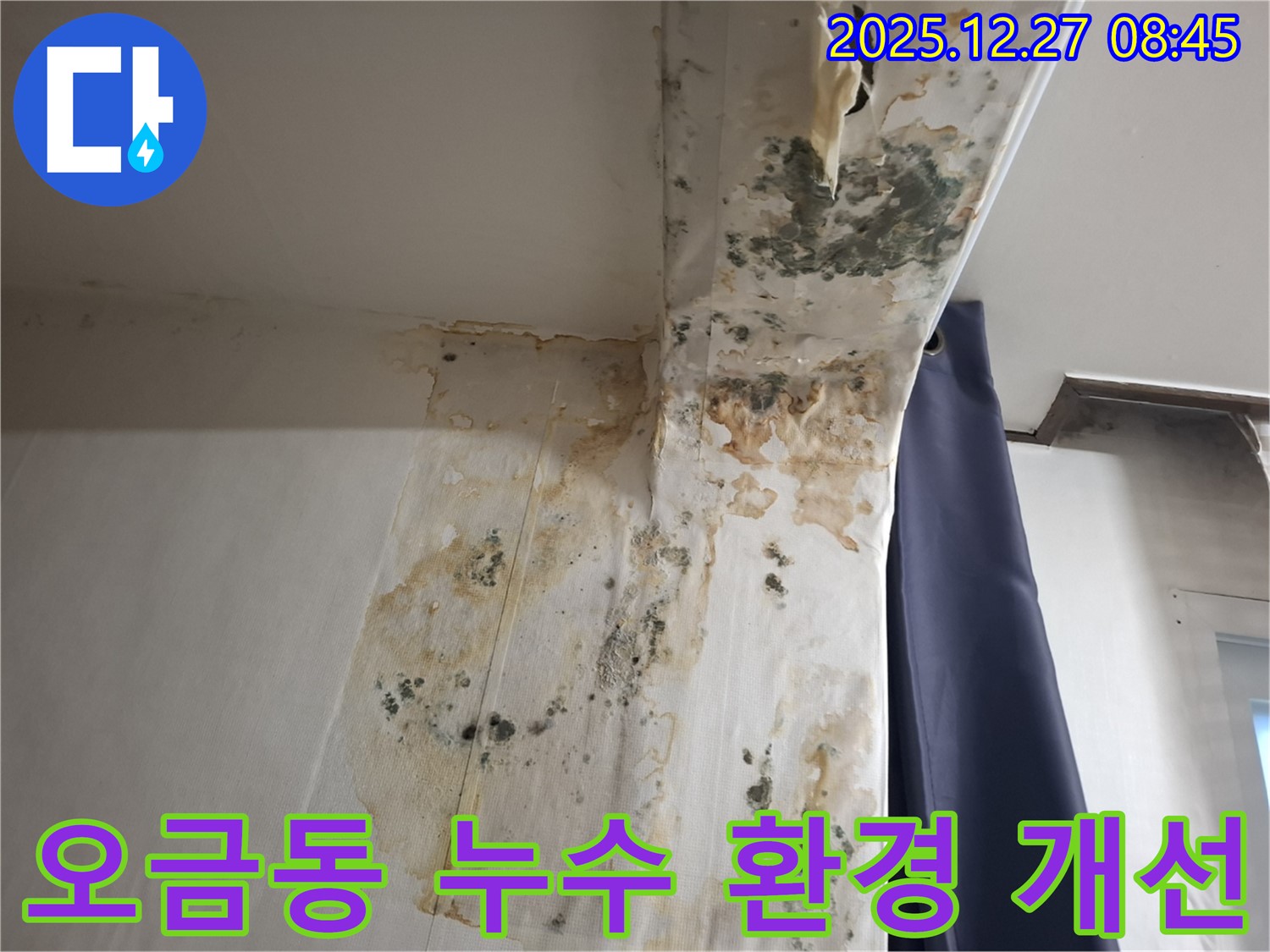 오금동 누수 현장 - 곰팡이 서식 환경 개선 및 재발 방지, 누수탐지 전문가의 지속 가능한 솔루션