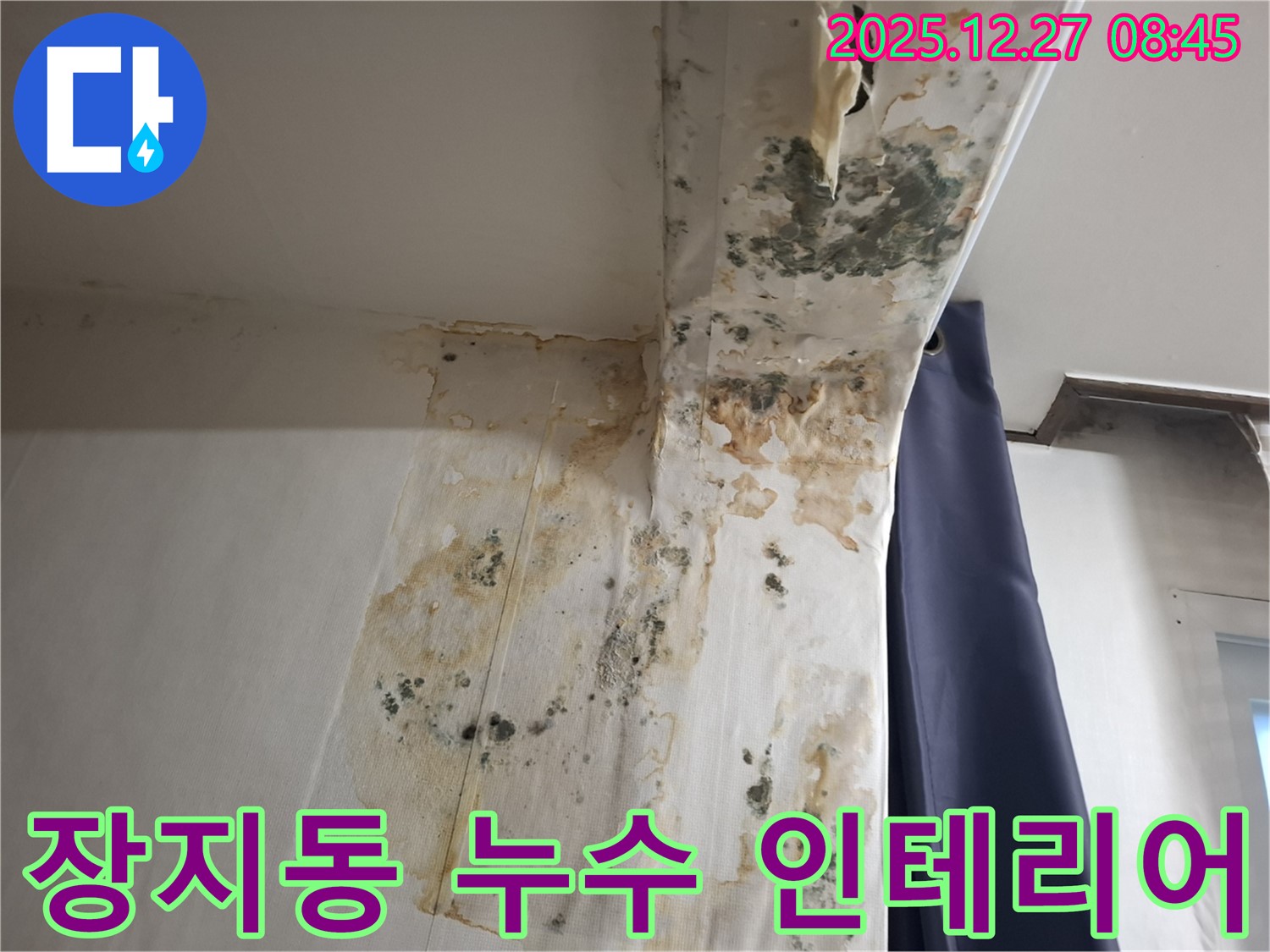 장지동 누수 현장 - 곰팡이 제거 후 인테리어 복원 서비스, 누수탐지 전문가의 토탈 케어