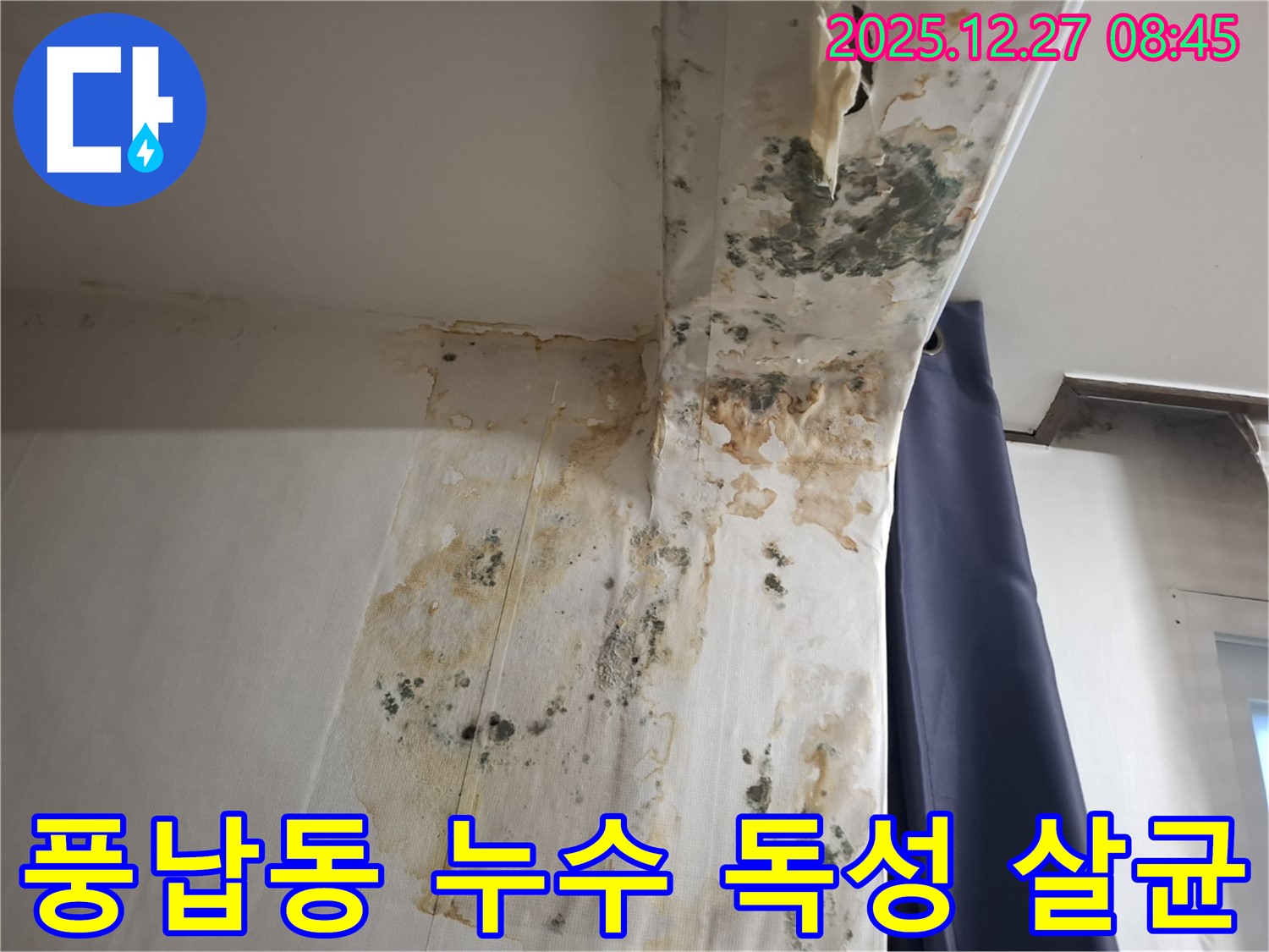 풍납동 누수 현장 - 곰팡이 독성 물질 제거 및 실내 살균, 누수탐지 전문가의 위생적인 시공