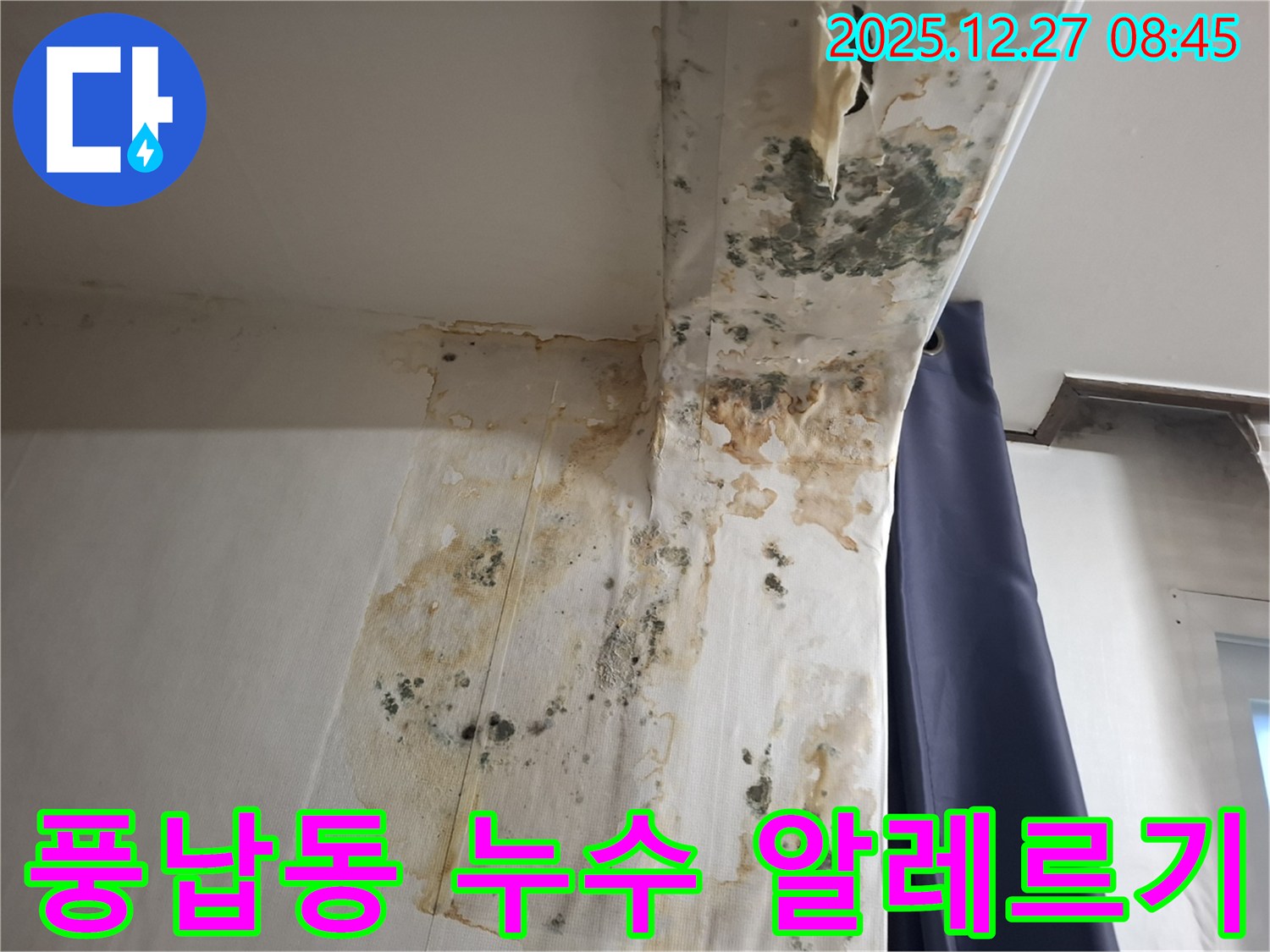 풍납동 누수 현장 - 곰팡이 알레르기 유발 방지 시공, 누수탐지 전문가의 꼼꼼한 관리