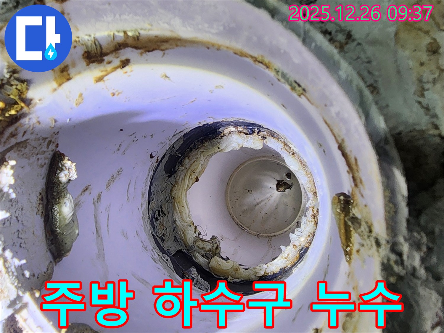 노원구 상계동 주방 하수구 배관 누수 - 누수탐지 전문 업체가 최첨단 장비를 사용하여 누수 원인을 정확하게 진단하고, 완벽하게 수리합니다.