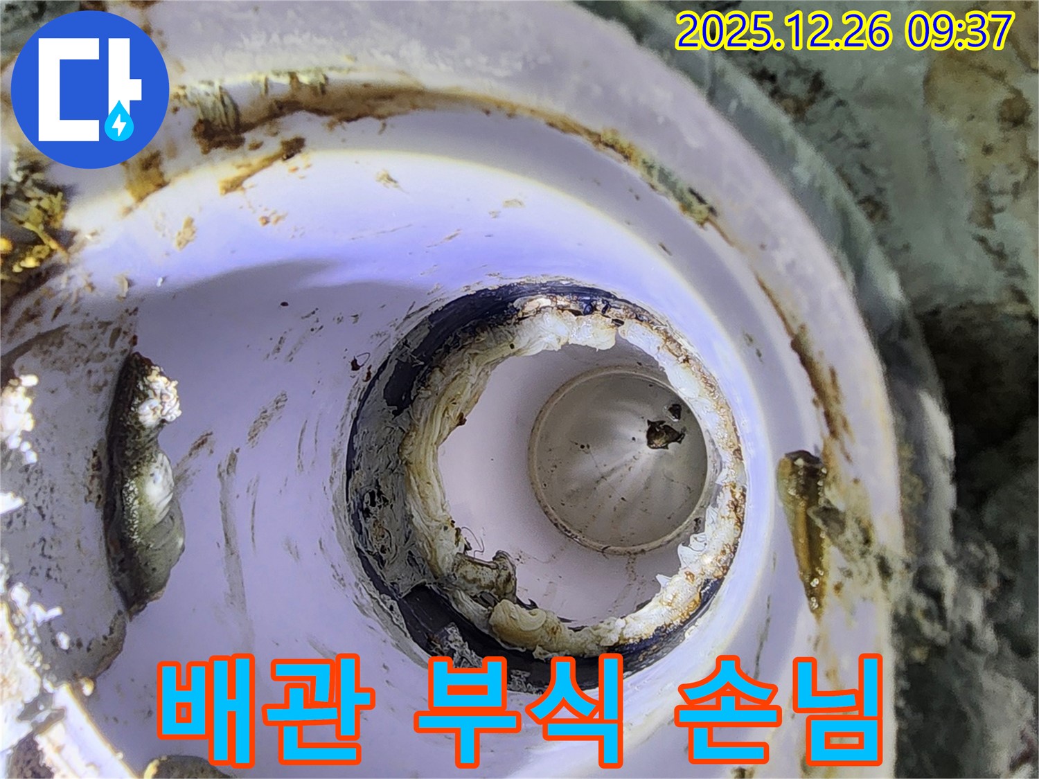 상계1동 낡은 배관 - 부식과 뜻밖의 손님
