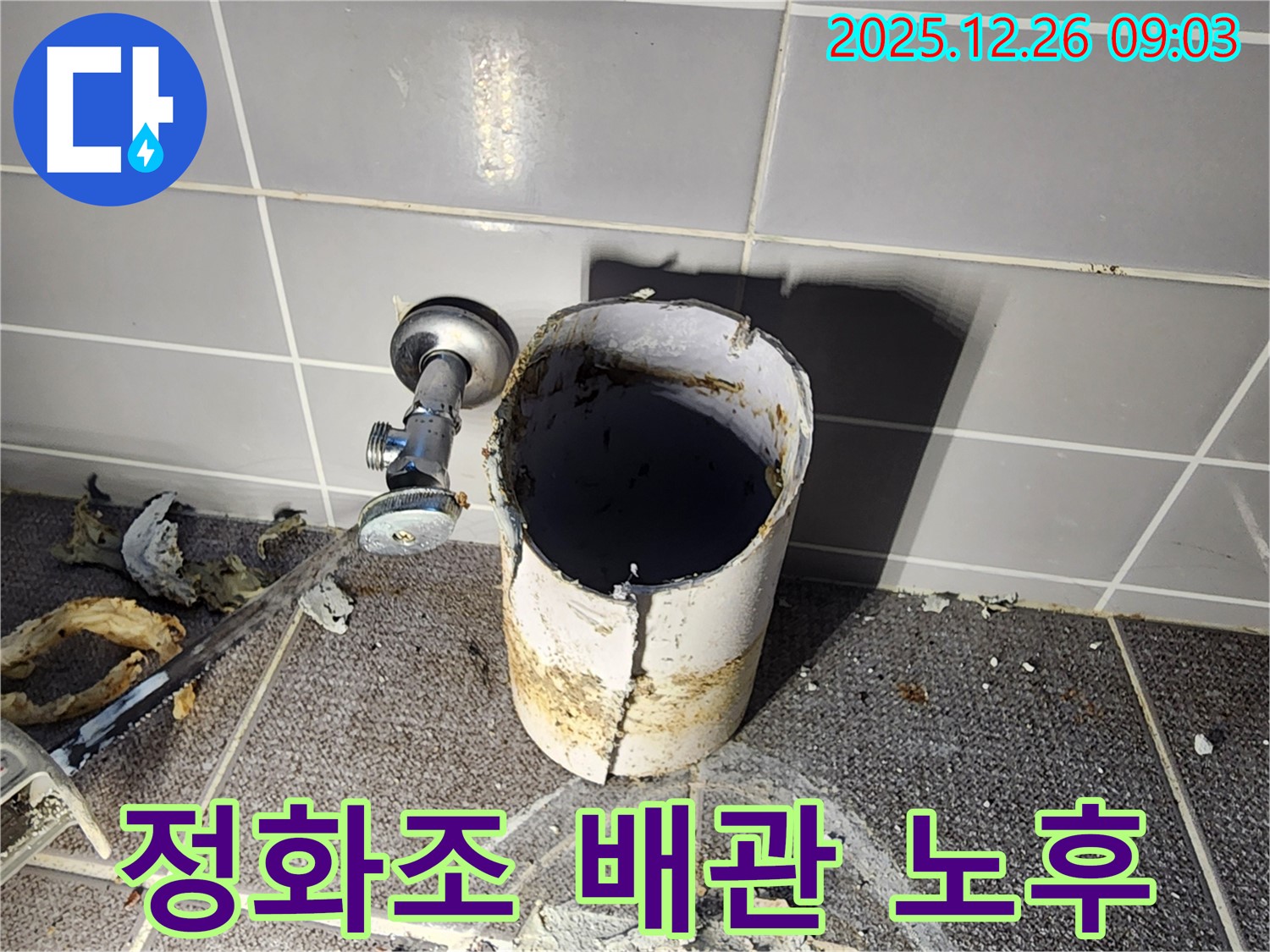 상계1동 누수 - 낡은 정화조 배관의 처참한 모습, 악취와 누수의 원인을 생생하게 보여줍니다 - 이제 새 배관으로 쾌적하게!