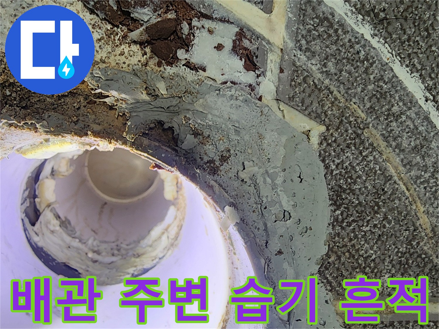 하수관 연결 부위 근처에 나타난 물샘 자국과 젖은 마감재