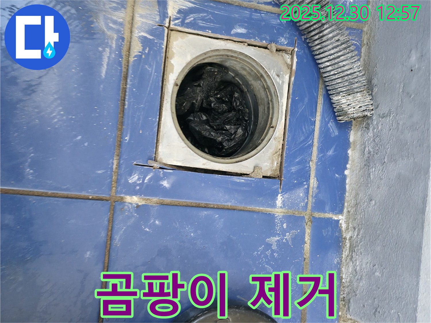 성동구 누수 - 배수구 주변 곰팡이 제거, 깨끗한 욕실 되찾기 프로젝트!