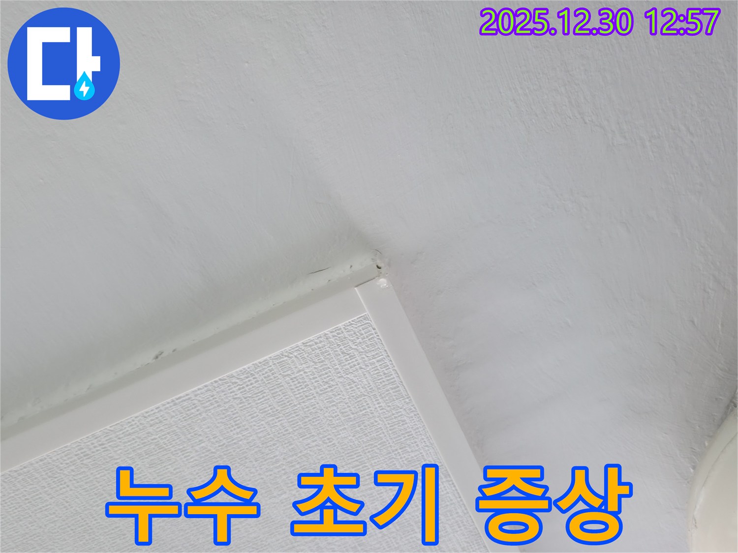 성동구 아파트 누수 - 곰팡이 발생, 누수 초기 증상일 수 있습니다.