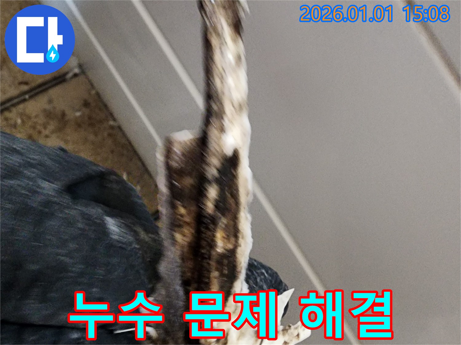 고양시 일산 누수 현장 - 낡은 배관으로 인한 누수 문제를 해결하고 쾌적한 환경을 만들어 드립니다.