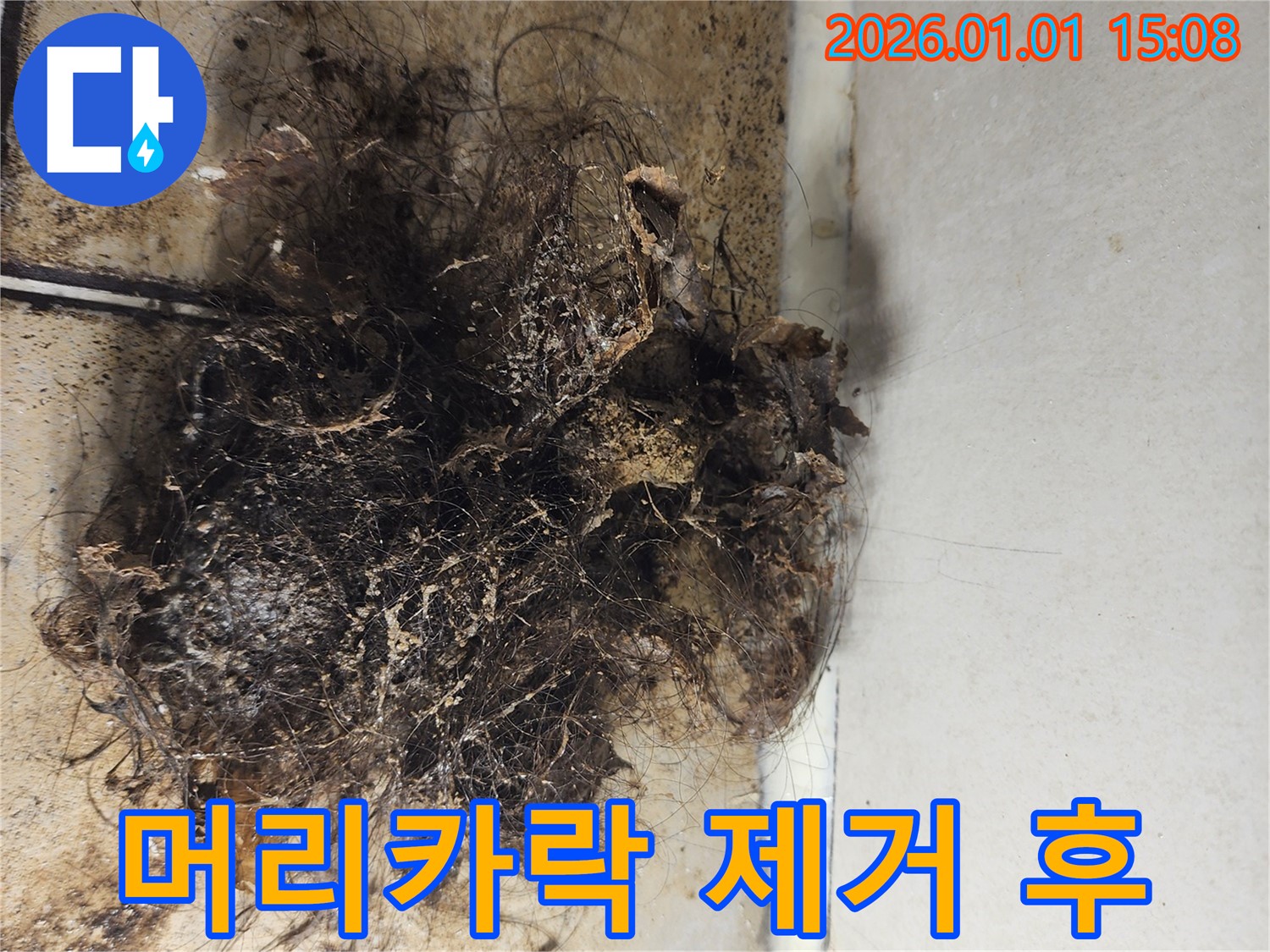 머리카락 제거 후 - 머리카락 제거 후 깨끗해진 욕실 배수구