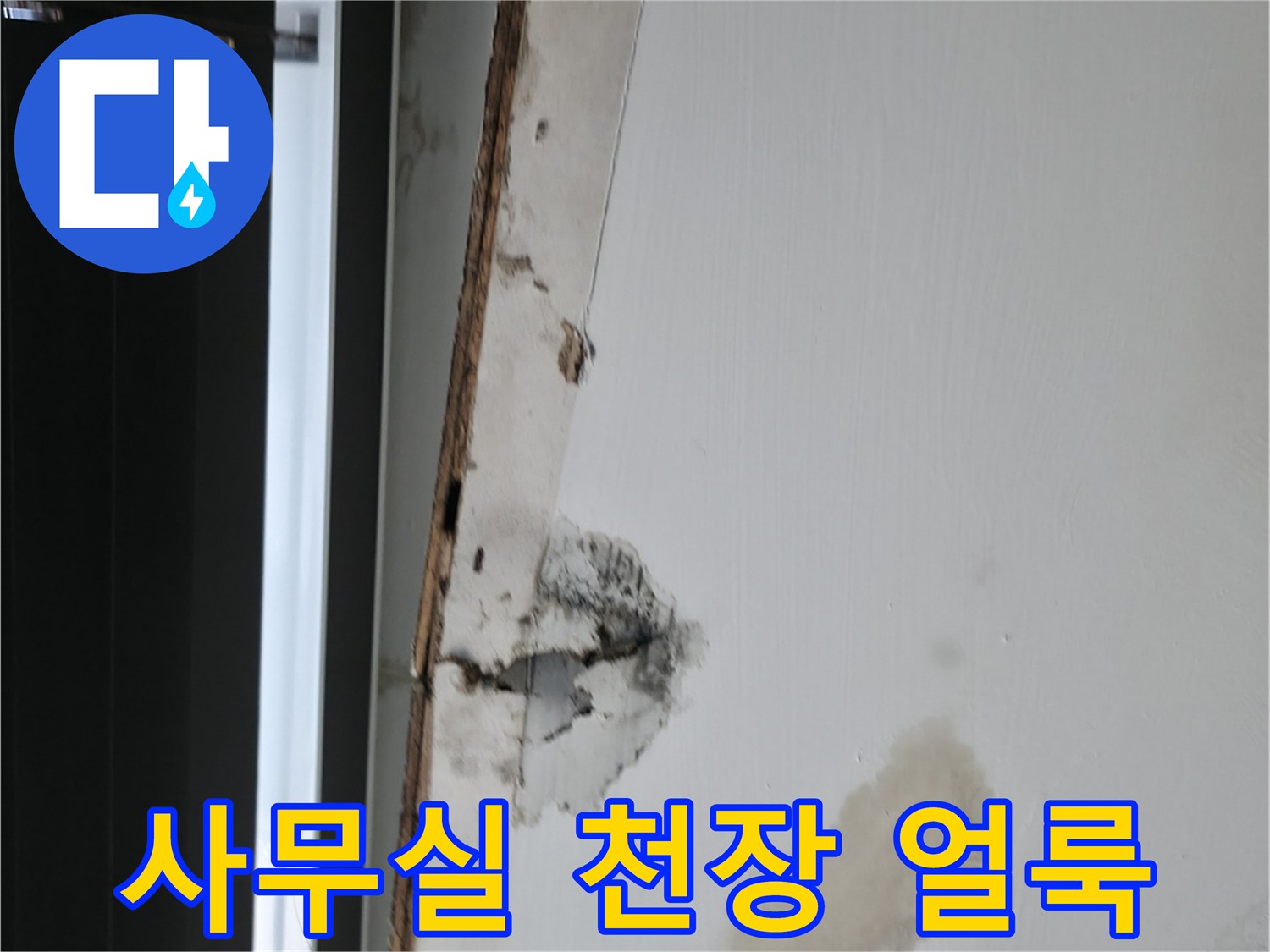 기흥구 사무실-천장 누수 흔적과 곰방이 발생한 상태입니다
