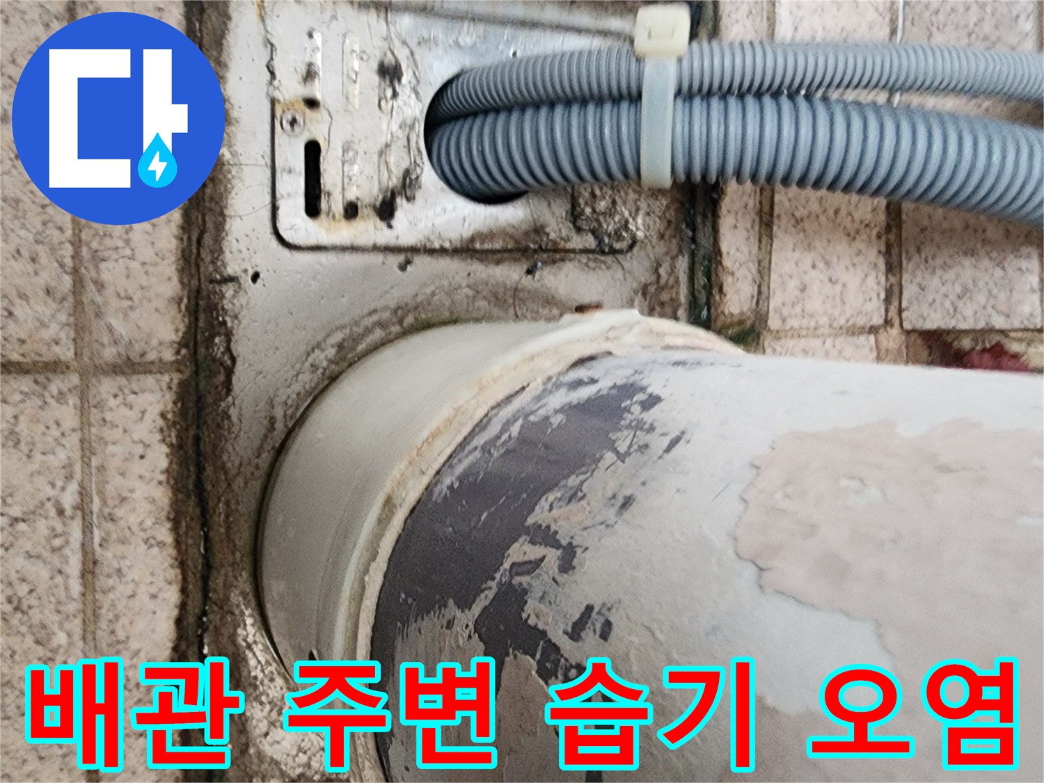 물샘-증상이-나타난-배관-연결부위