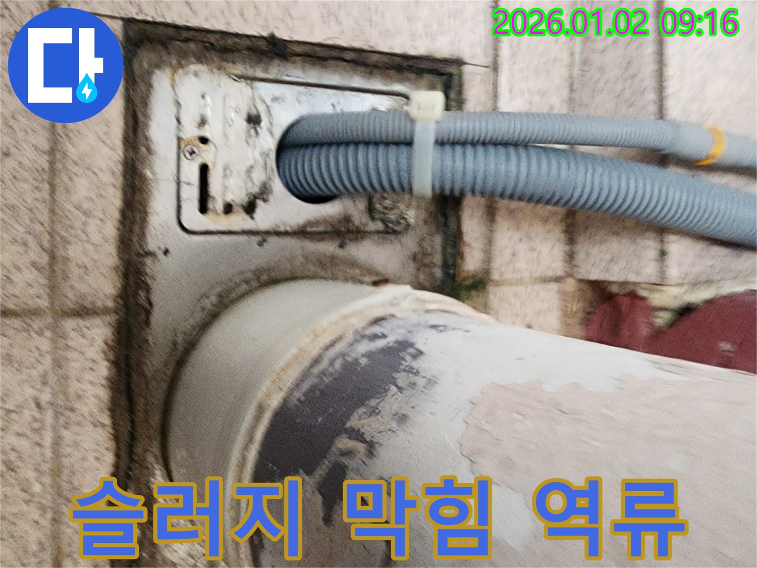 세탁기 배수구 슬러지 막힘 - 배수구에 슬러지가 쌓여 물이 역류하고 있습니다.