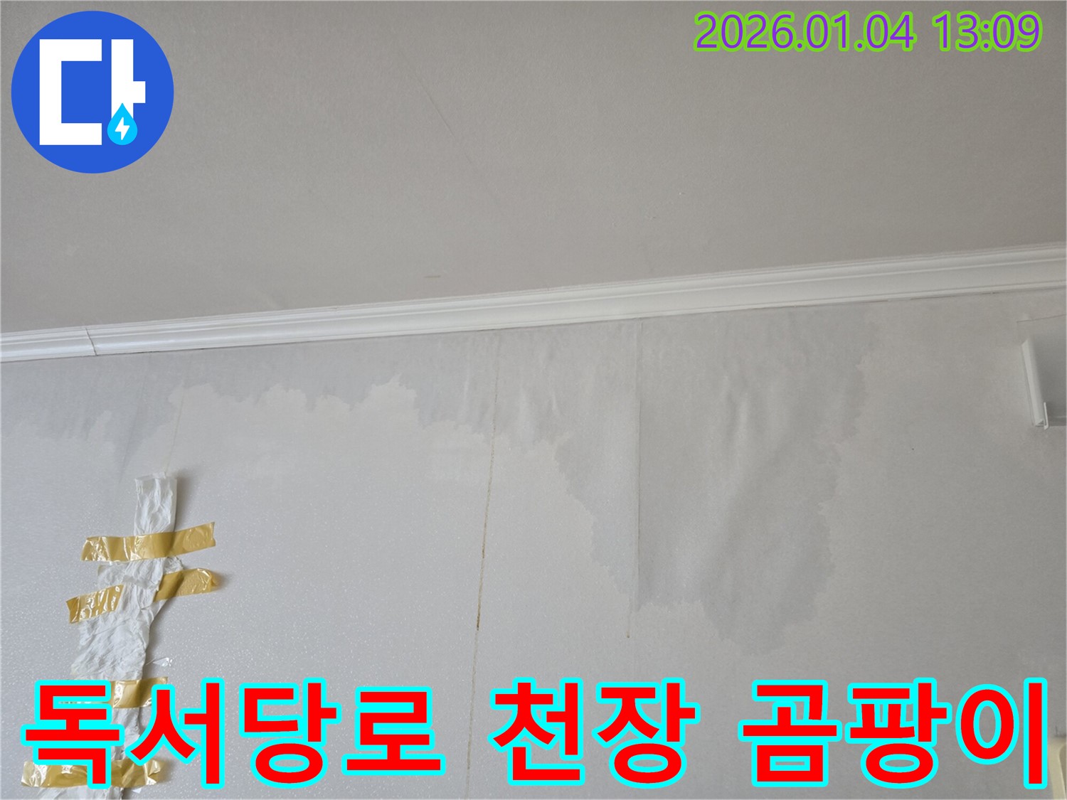 독서당로 아파트 천장 곰팡이 누수 - 누수 원인을 정확히 파악하고 곰팡이까지 제거하여 쾌적한 환경을 되찾았습니다.